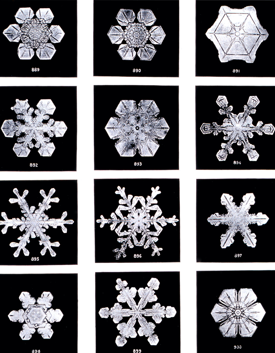 snowflake.jpg