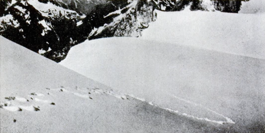 yeti2.jpg